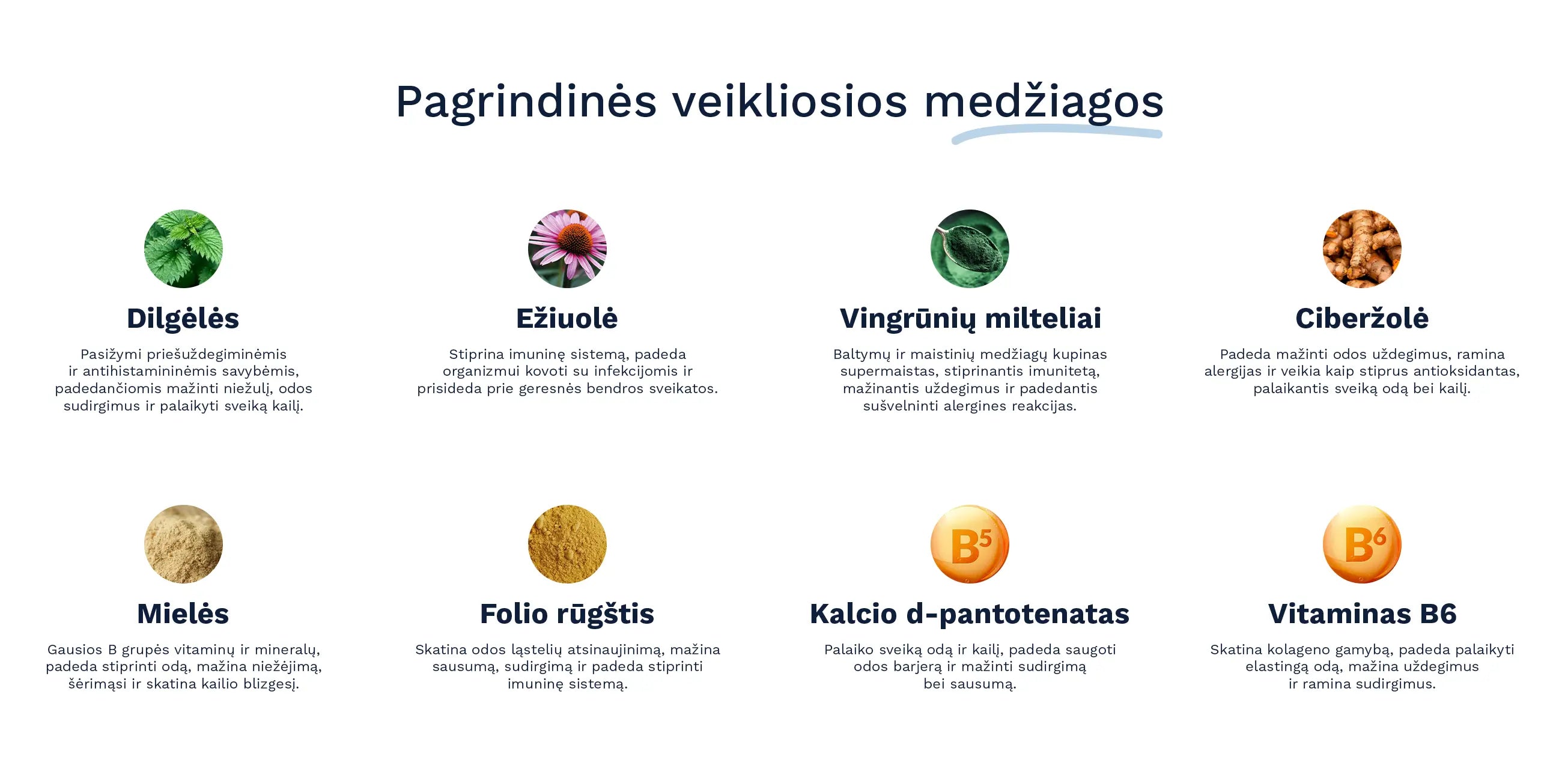 Pagrindinės Wooffu "Allergy & Itch" papildų sudedamosios dalys su nuotraukomis ir trumpais aprašymais - dilgėlės, ežiuolė, vingrūnių milteliai, ciberžolė, mielės, folio rūgštis, kalcio d-pantotenatas, vitaminas b6