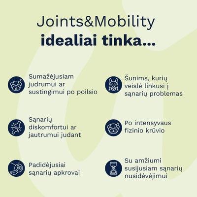 Wooffu Joints & Mobility tinka šunims su sumažėjusiu judrumu, sąnarių diskomfortu, po fizinio krūvio, vyresnio amžiaus šunims ir veislėms linkusioms į sąnarių problemas